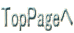 TopPage